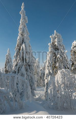Invierno