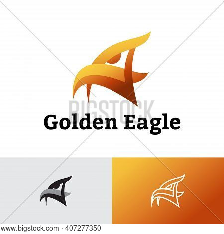 Golden Eagle Hawk Head Abstract Logo Template