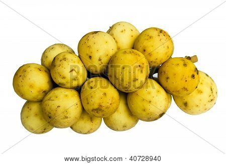 긴 홍콩 Lansium Domesticum 절연