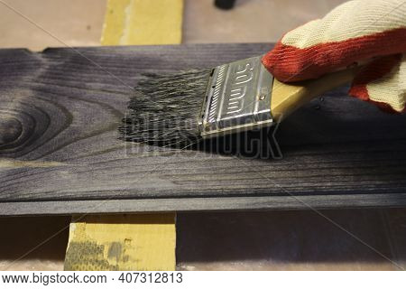 Handling A Woody Pine Plank With A Dark Mordant With A Paintbrush For Deeply Impregnating Wood For P