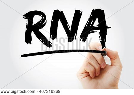 Rna - Ribonucleic Acid Acronym With Marker, Medical Concept Background