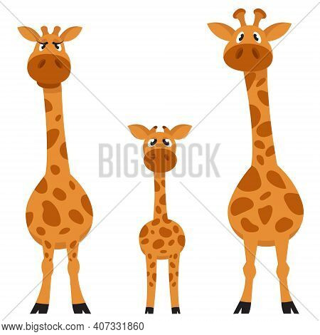 Giraffe Family Front View. African Animals In Cartoon Style.
