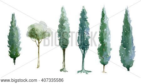 Green Tree Watercolor Illustration Set. Natural Cypress Trees. Hand Drawn Leafy And Evergreen Tree E