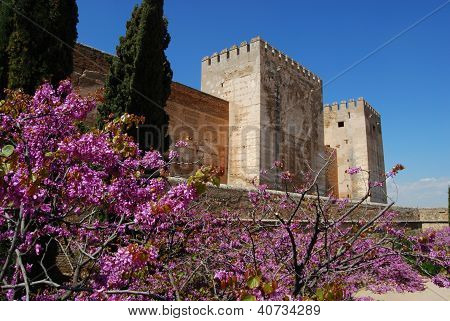 Hrad v jarní, Granada, Španělsko.