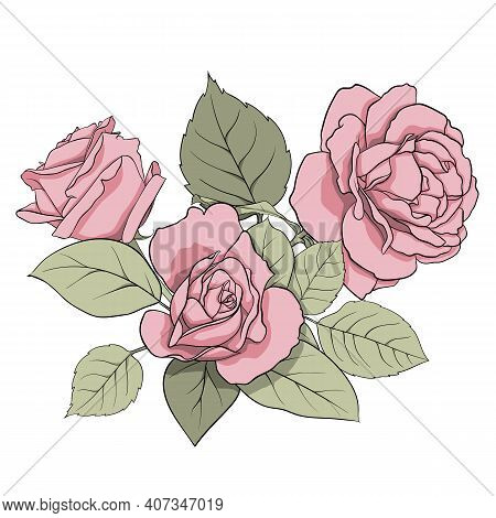 Omposition Of Delicate Pink Roses And Green Leaves. Illustration For Creating Cards, Decoration, Dec