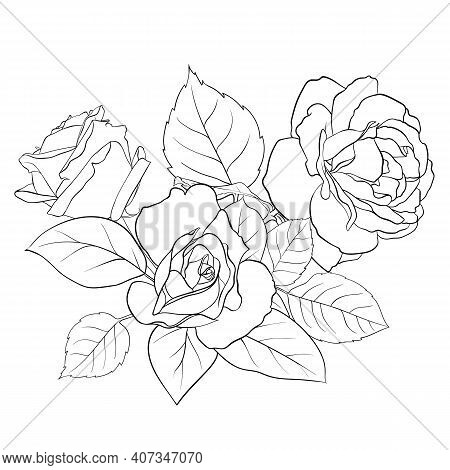 Omposition Of Delicate Roses And Leaves. Contour Illustration By Hand. Illustration For Creating Car
