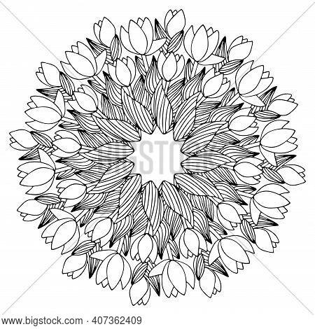 Tulips Flowers Early Spring Mandala Stock Vector Illustration. Crocus Flower Natural Mandala Floral 