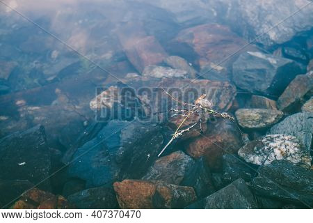 Nature Background With Many Stones On Bottom Of Mountain Lake With Clear Water. Natural Texture Of S