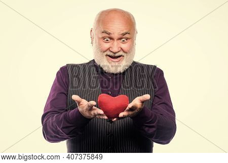 Preventing Heart Attack. Heart Problem And Healthcare. Senior Bald Head Bearded Man Hold Red Heart. 
