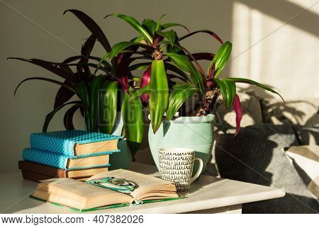 Pile Of Books In Colorful Covers And Rhoeo Plant Tradescantia In Blue Ceramic Pots On A White Table