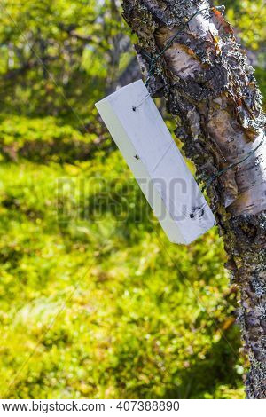 White Wooden Box On Tree In Vang Norway.