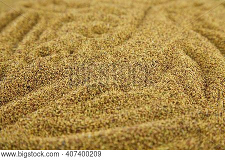 Sweet Clover (melilot). A Melliferous Aromatic Medicinal Plant. Seed Background