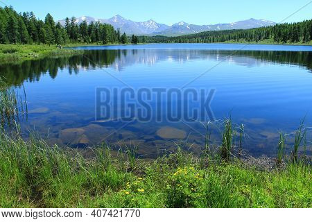 Summer Clear Day, A High-altitude Lake In Altai, Surrounded By Forest, Stones Are Visible In The Wat