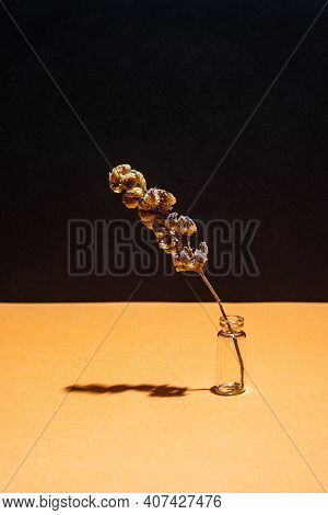 Three Dried Flower On A Vase On A Yellow Black Background. Set Design.
