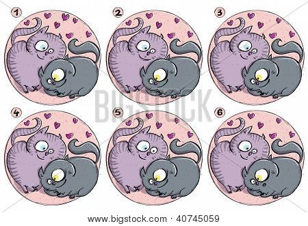 Gioco gatti amore