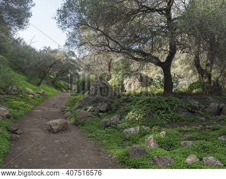 Footpath Through Lush Landscape Of Barranco De Los Cernicalos With Man Hiker Figure In The Distance.