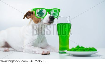 Dog With A Mug Of Green Beer And Glazed Nuts In Funny Glasses On A White Background. Jack Russell Te