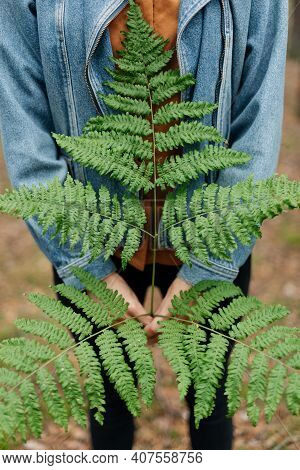 Close-up Of Hands Holding A Fern Leaf Against A Forest Background.
