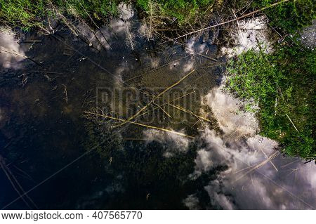 Drone View From Above Of Forest Lake. Reflection Of Cloudy Sky. Dry Trees In The Water. Latvian Natu