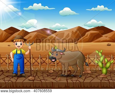 Young Farmer Herding Buffalo In The Desert