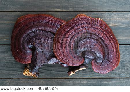 Ganoderma Lucidum Mushroom On Wood Table