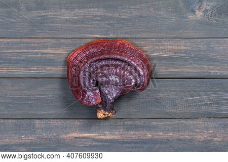 Ganoderma Lucidum Mushroom On Wood Table
