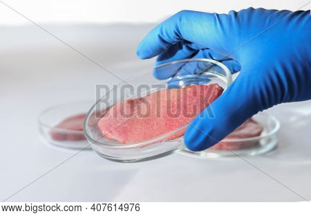 Hand Holding Lab Gown Meat In A Petri Dish. Meat In Glass Cell Culture Dish. In Vitro Cultured Flesh