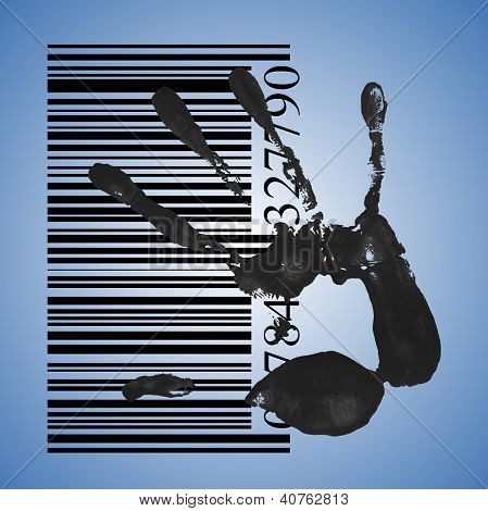 Identification