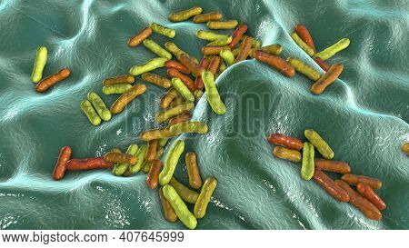 Cutibacterium Acnes, Formely Propionibacterium Acnes