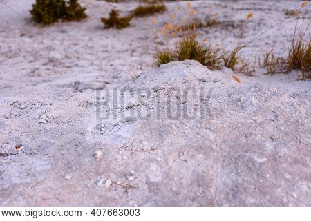 Phosphate Gypsum Waste On The Ground. Melting Snow, Early Spring And Early Thaw, Snow And Old Dry Gr