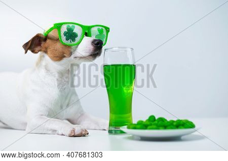 Dog With A Mug Of Green Beer And Glazed Nuts In Funny Glasses On A White Background. Jack Russell Te