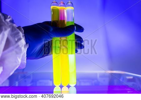 Fluorescein Glowing In Flask Under Ultraviolet Light. A Closeup Of Man Hand Holding Up A Vial  Fluor