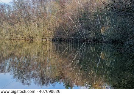 Lake With Mirror Reflection On The Water Surface Of Surrounding Wild Plants And Trees In The Dutch N