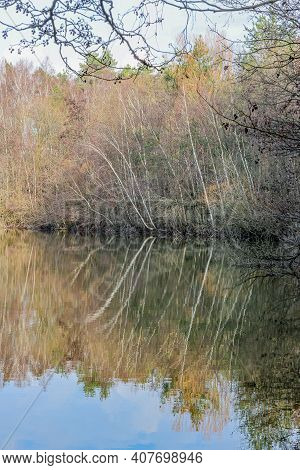 Bare Trees And Wild Plants On The Shore Of A Lake, Reflecting On The Water Surface In Dal Van De Roo