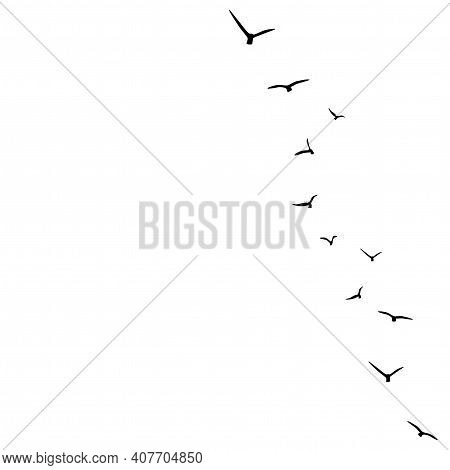 Vector Background With Flying Birds On The Right Side. Black Swallows In The Sky On White Background