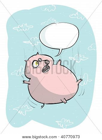 Flying Pig