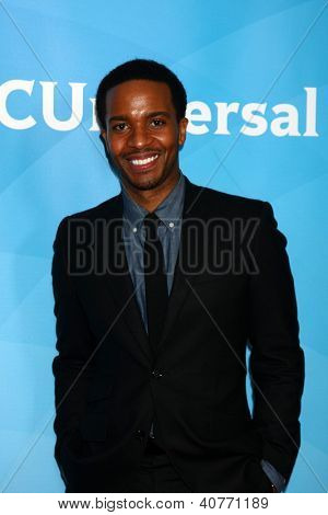 LOS ANGELES - JAN-6: Andra Holland besucht der NBCUniversal 2013 TCA Press Tour 