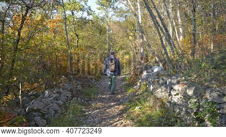 Malchina, Italy - October 31st 2020. A Walker In The Autumn Landscape Near Malchina In Trieste Provi
