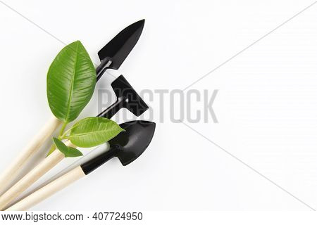 Garden Tools: Shovel, Shovel, Rake, Green Young Sprout Isolated On A White Background. Seeds And Hom