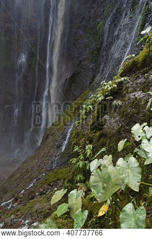 View Of The Fresh, Noisy And Intense Water In Tumpak Sewu Waterfall, In East Java, Indonesia.