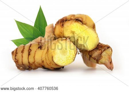 Fresh Galangal Rhizomes Isolated On White Background.