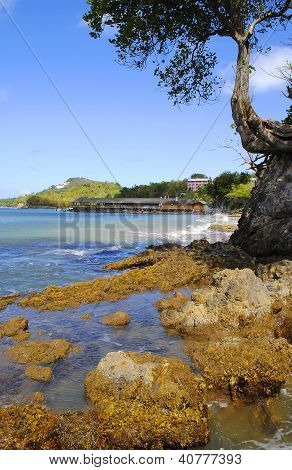 Warf Beach St. Lucia