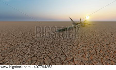 Concept or conceptual desert landscape with a parched tree trunck as a metaphor for global warming and climate change. A warning for the need to protect our environment and future 3d illustration