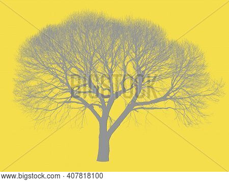 Color Of The Year 2021, Ultimate Gray + Illuminating. A Leafless Tree Silhouette. Gray Tree With Yel