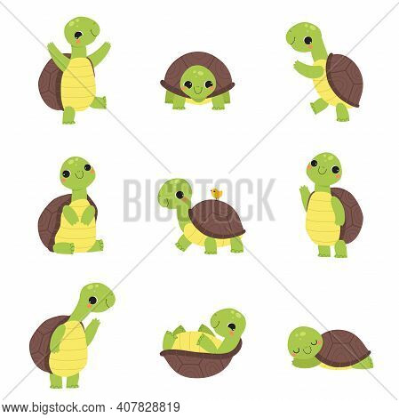 Happy Green Turtle Walking, Waving Paw And Sleeping Vector Set
