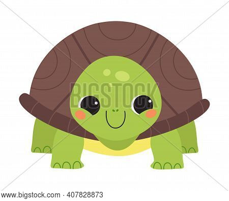 Happy Green Turtle Standing And Smiling Vector Illustration