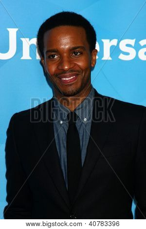 LOS ANGELES - JAN-6: Andra Holland besucht der NBCUniversal 2013 TCA Press Tour 
