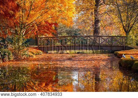 Autumn Scene, The Waterhouse Woodland Garden In Bushy Park In London