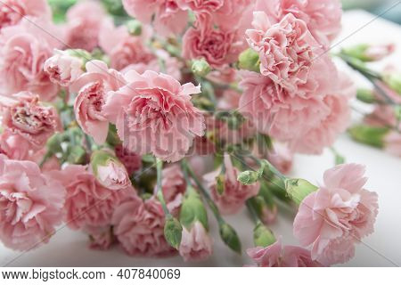 Small Bouquet Of Pink Carnations In On A White Background, Copy Space