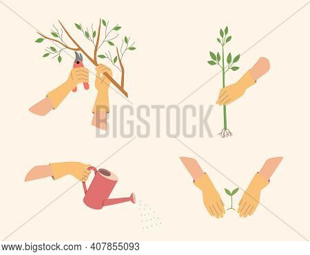 Gloved Hands Prune The Branches Of Trees, Plant Seedlings, Water From A Watering Can. A Set Of Garde